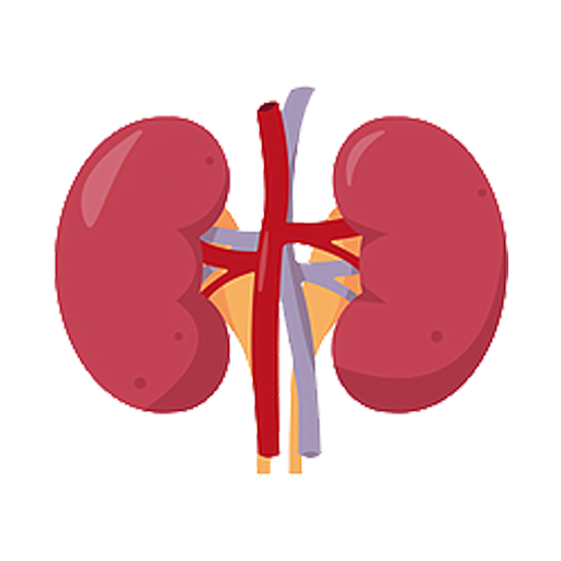 Best Kidney Disease Treatment in USA