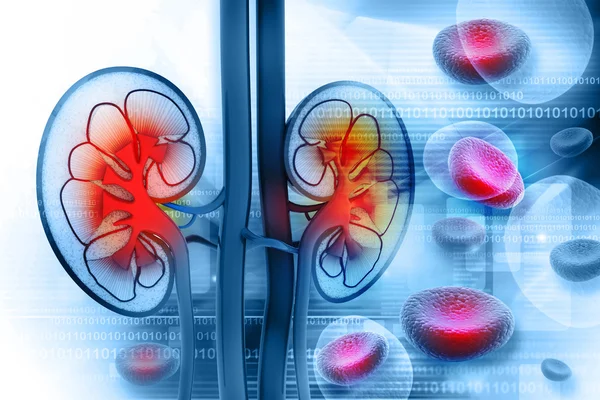 Medilux Herbals | kidney specialist ayurvedic doctor