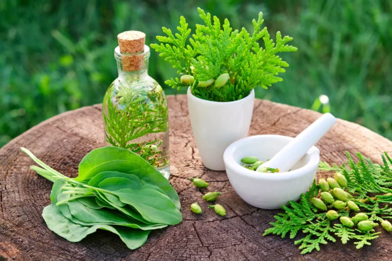 herbal medicines