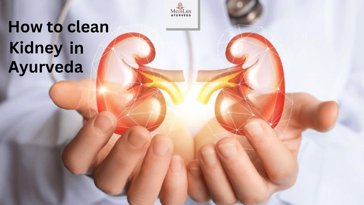  How to Clean Kidneys in Ayurveda