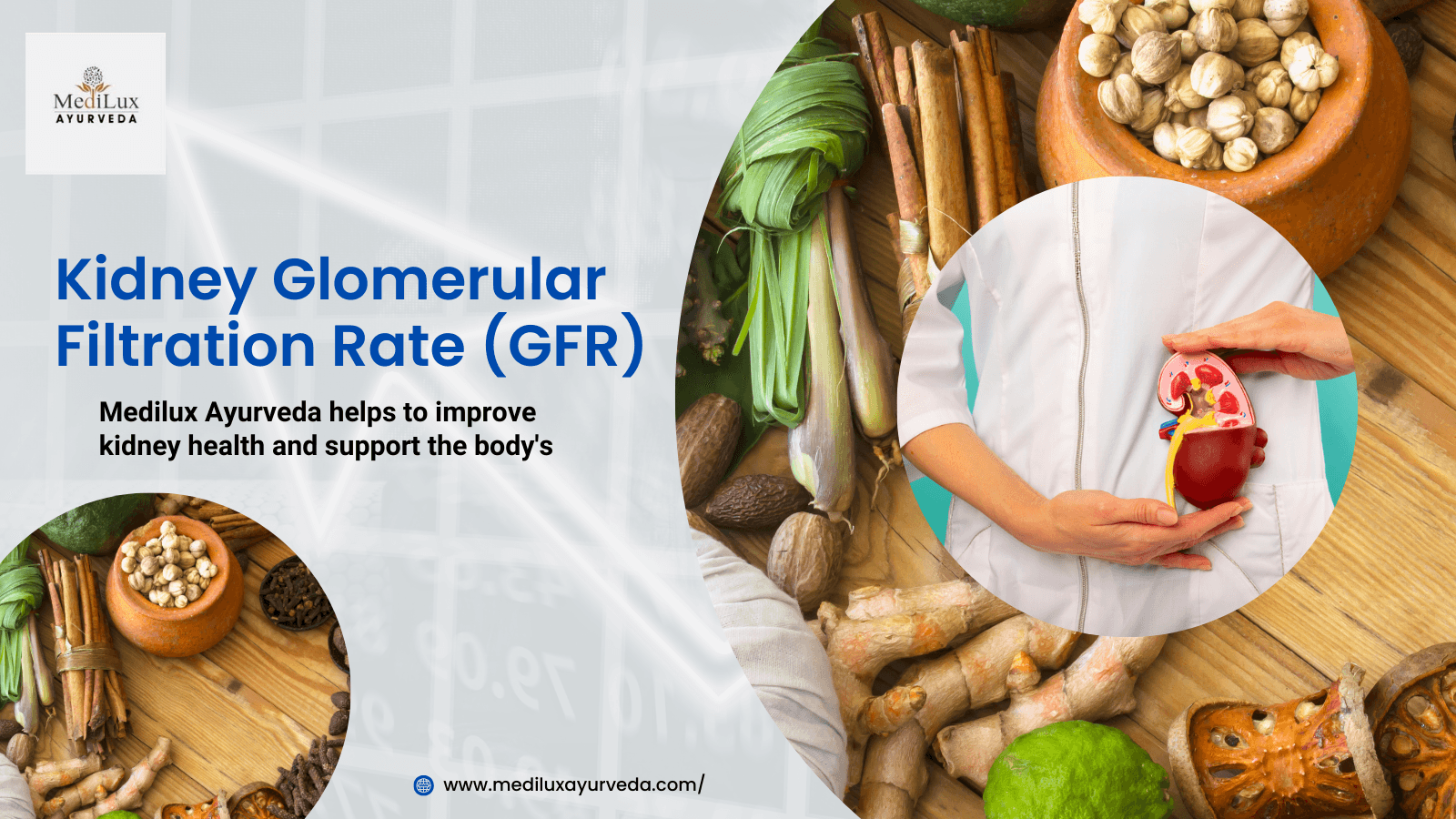 Kidney Glomerular Filtration Rate (GFR) in USA