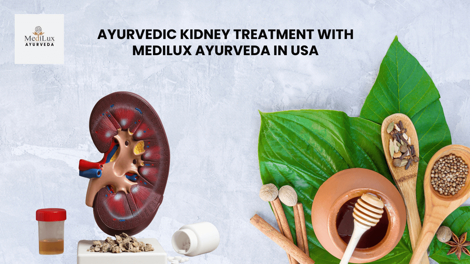 Ayurvedic Kidney Treatment with Medilux Herbals in USA