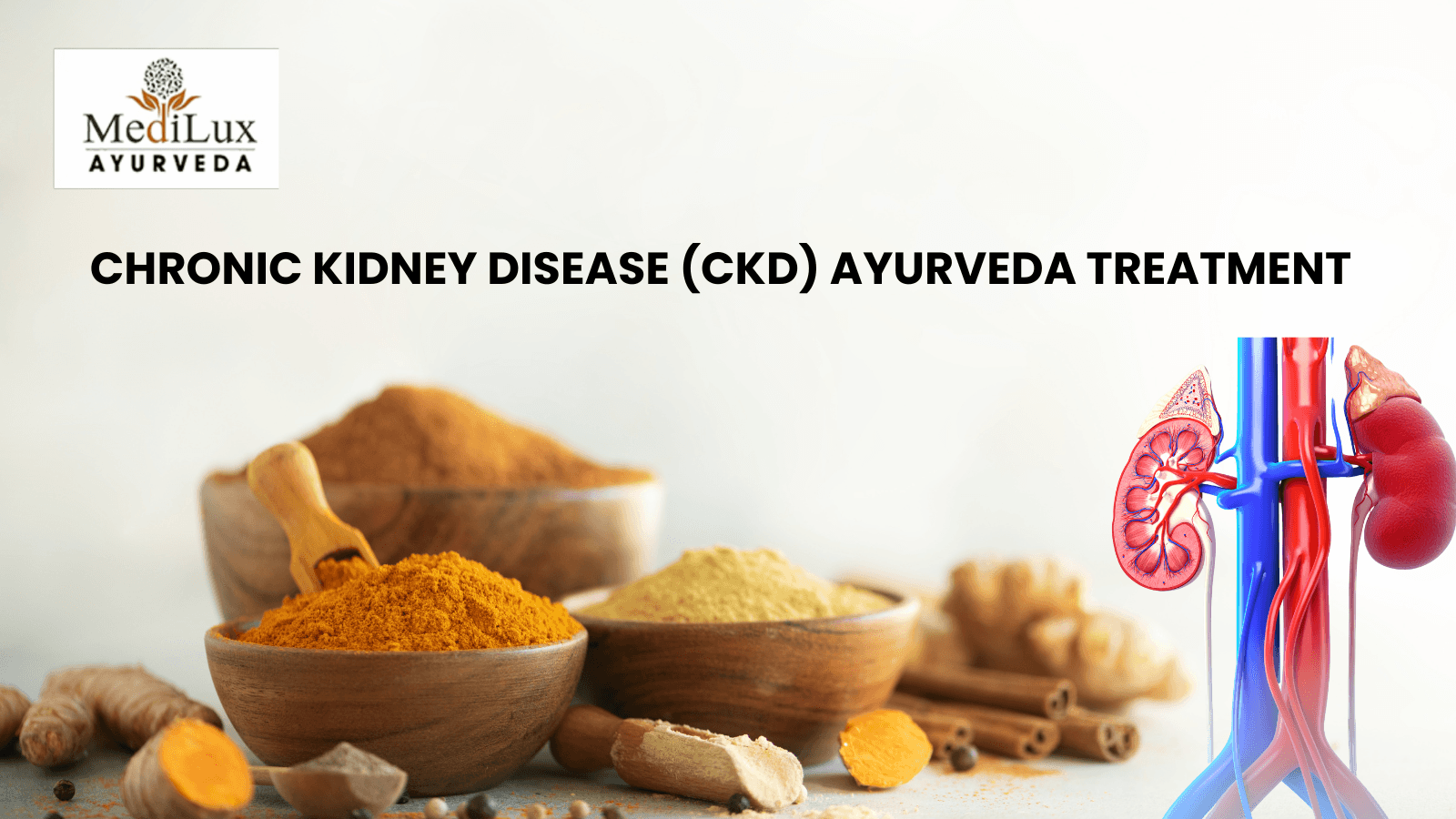Chronic Kidney Disease (CKD) Ayurveda Treatment