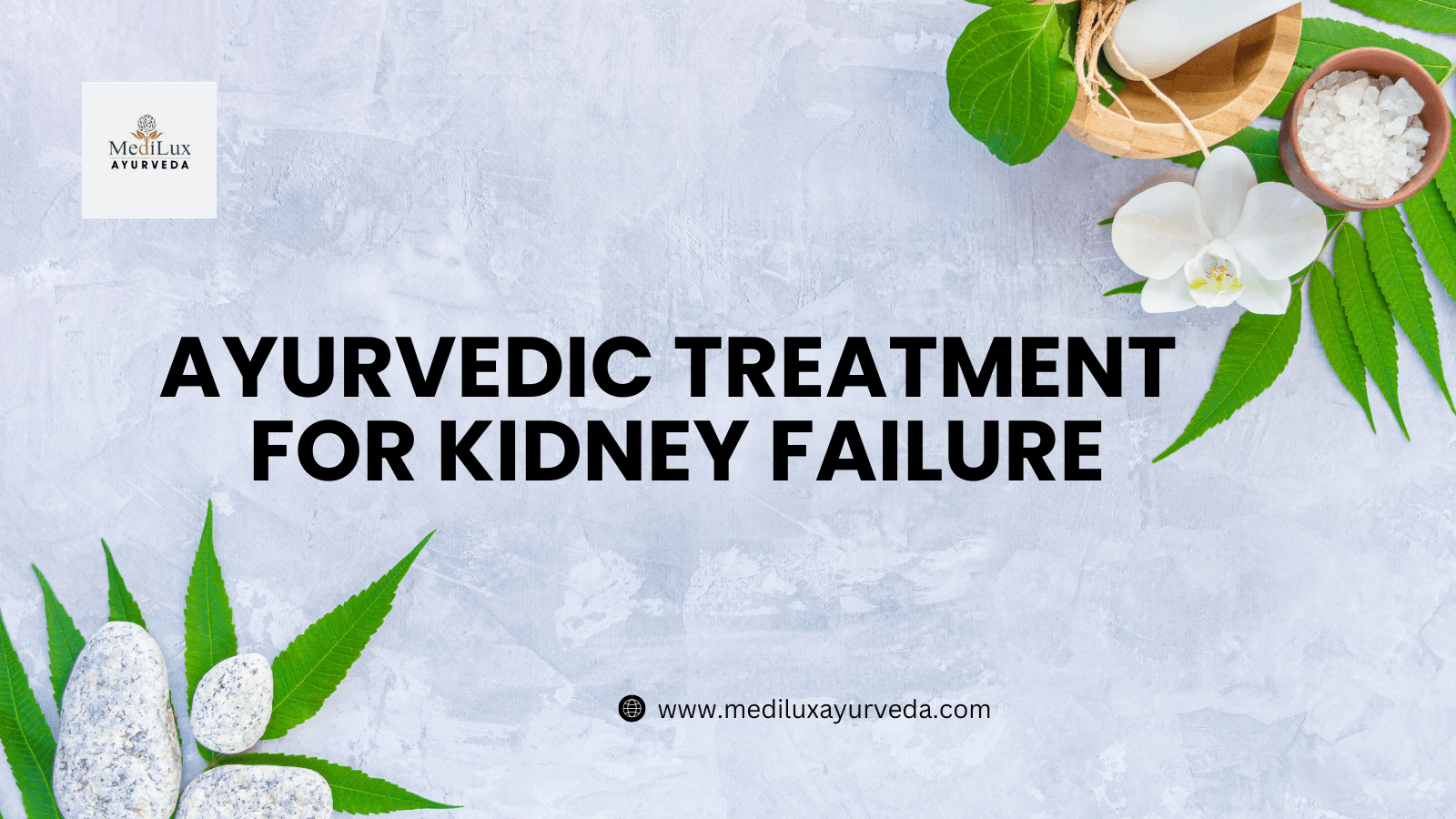 Ayurvedic Treatment For Kidney Failure