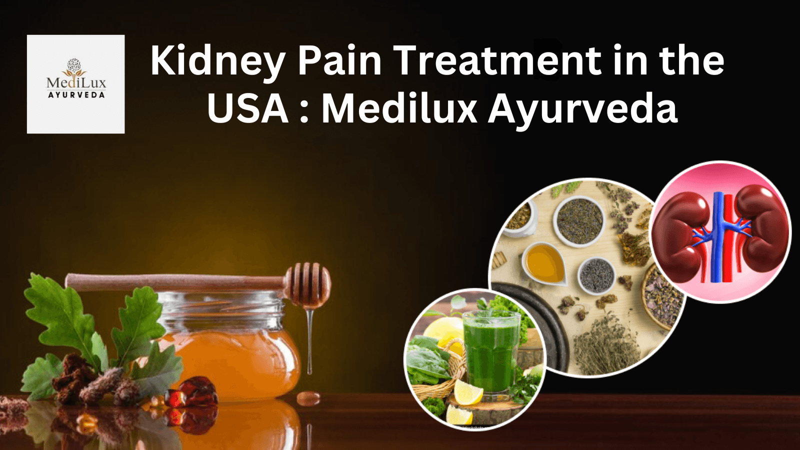 Kidney Pain Treatment in the USA : Medilux Herbals