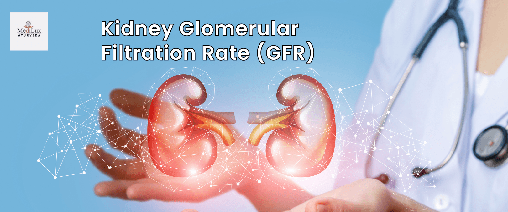 Kidney Glomerular Filtration Rate (GFR) 