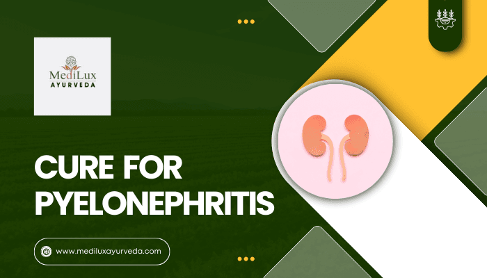 Cure For Pyelonephritis