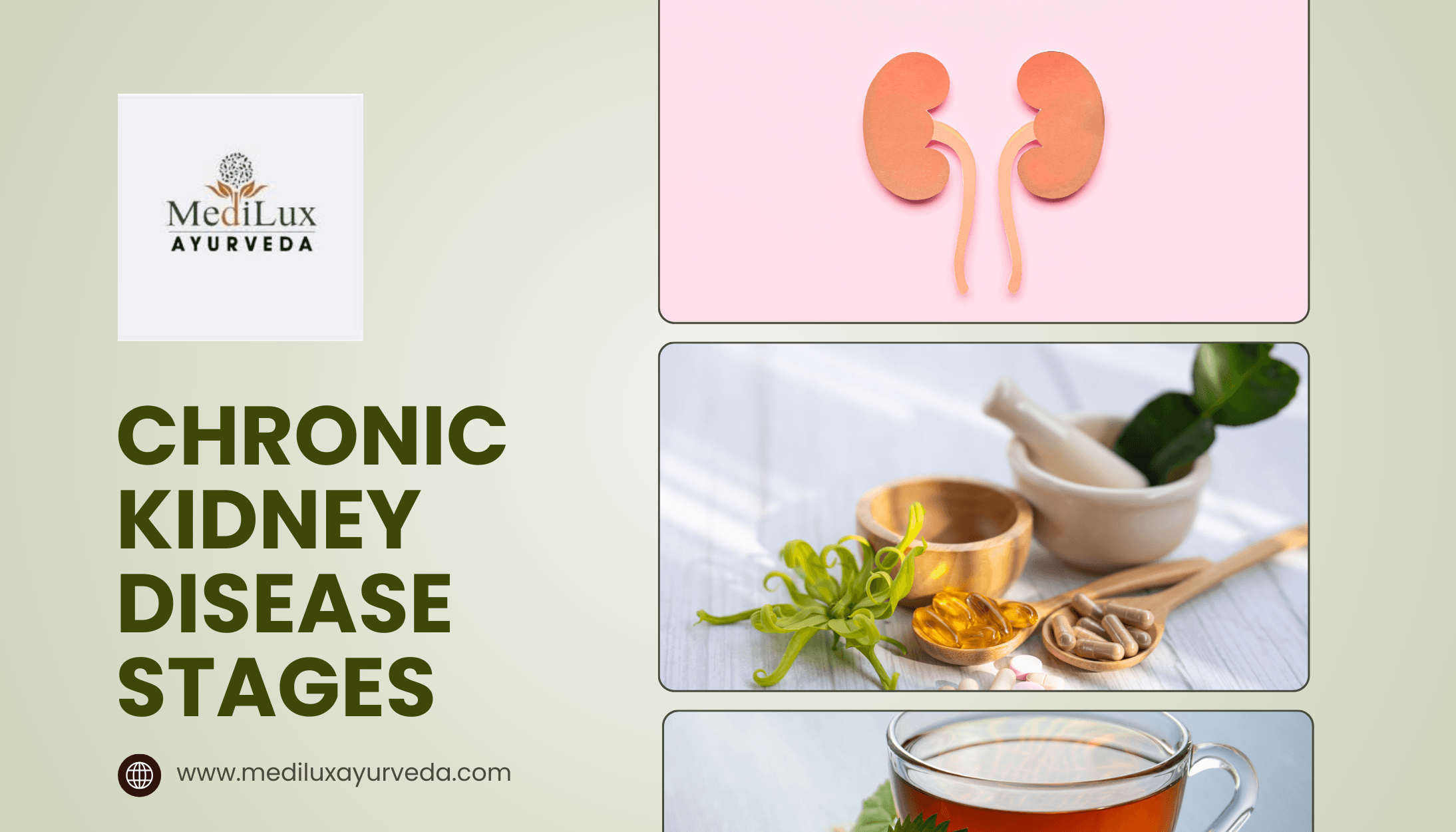 Chronic Kidney Disease Stages