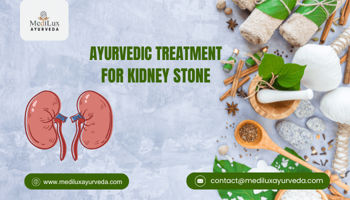 Ayurvedic Treatment for Kidney Stone