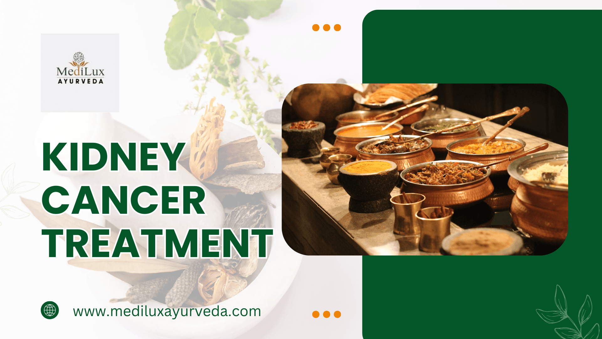 Kidney Cancer Treatment