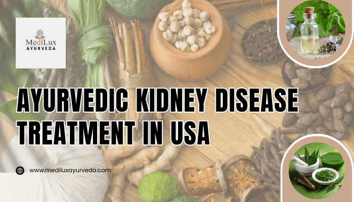 Ayurvedic Kidney Disease Treatment in USA