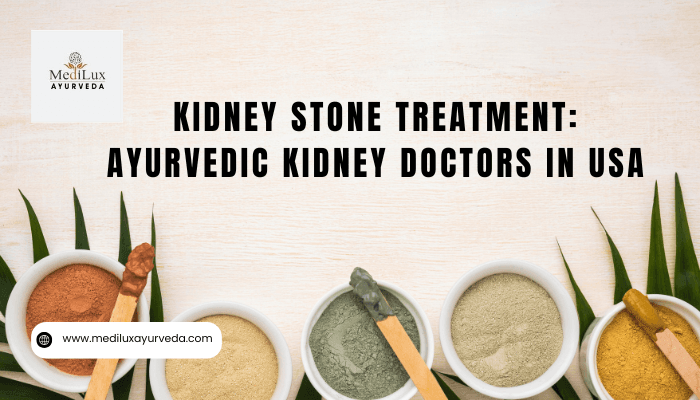 Kidney Stone Treatment : Ayurvedic Kidney Doctors in USA