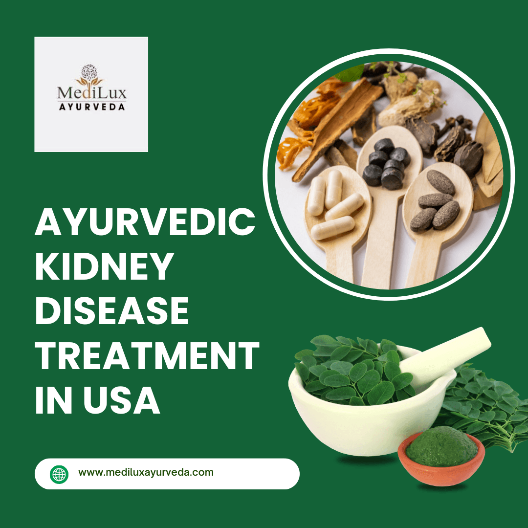 Ayurvedic Kidney Disease Treatment in USA