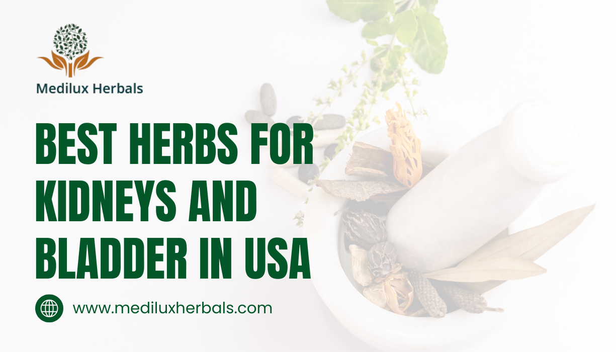 Best Herbs For Kidneys and Bladder in USA