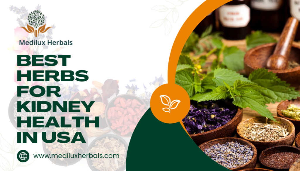 Best Herbs for Kidney Health in USA