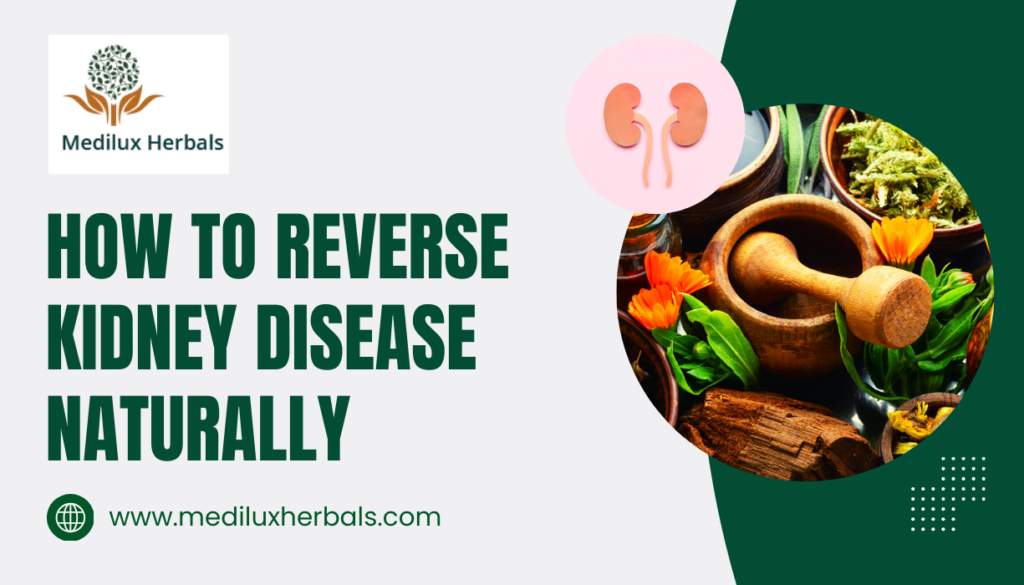 How To Reverse Kidney Disease Naturally