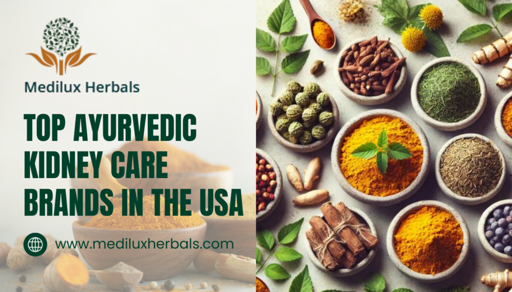Top Ayurvedic Kidney Care Brands in the USA