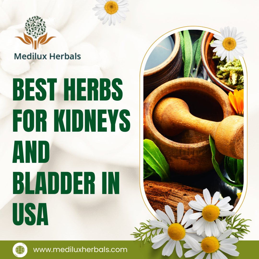 Best Herbs For Kidneys and Bladder in USA