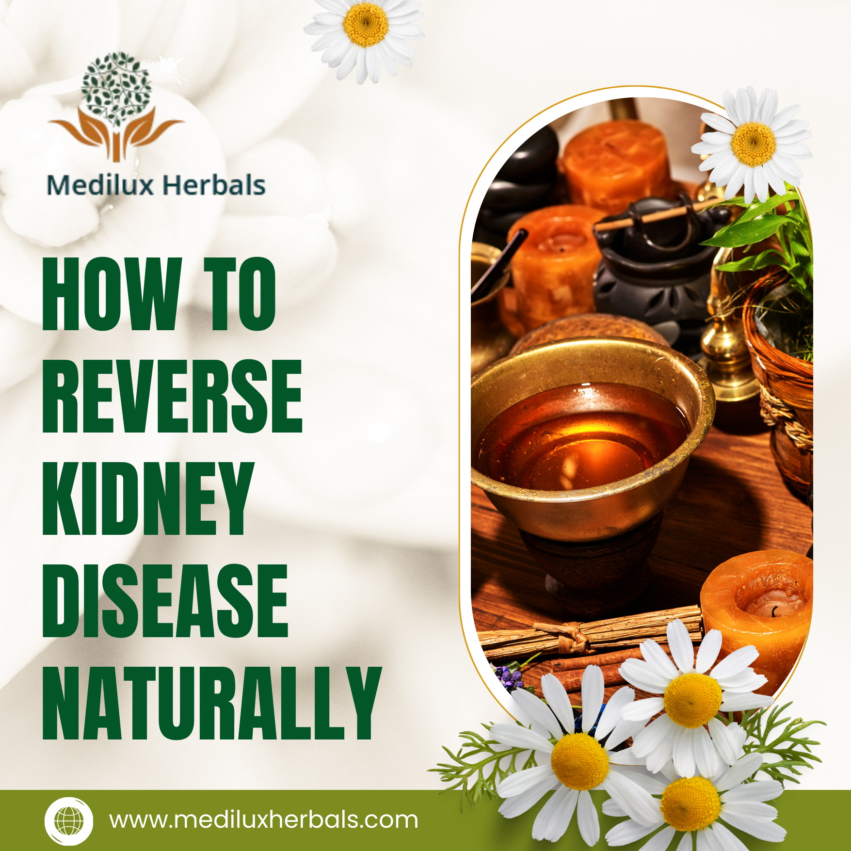 How To Reverse Kidney Disease Naturally