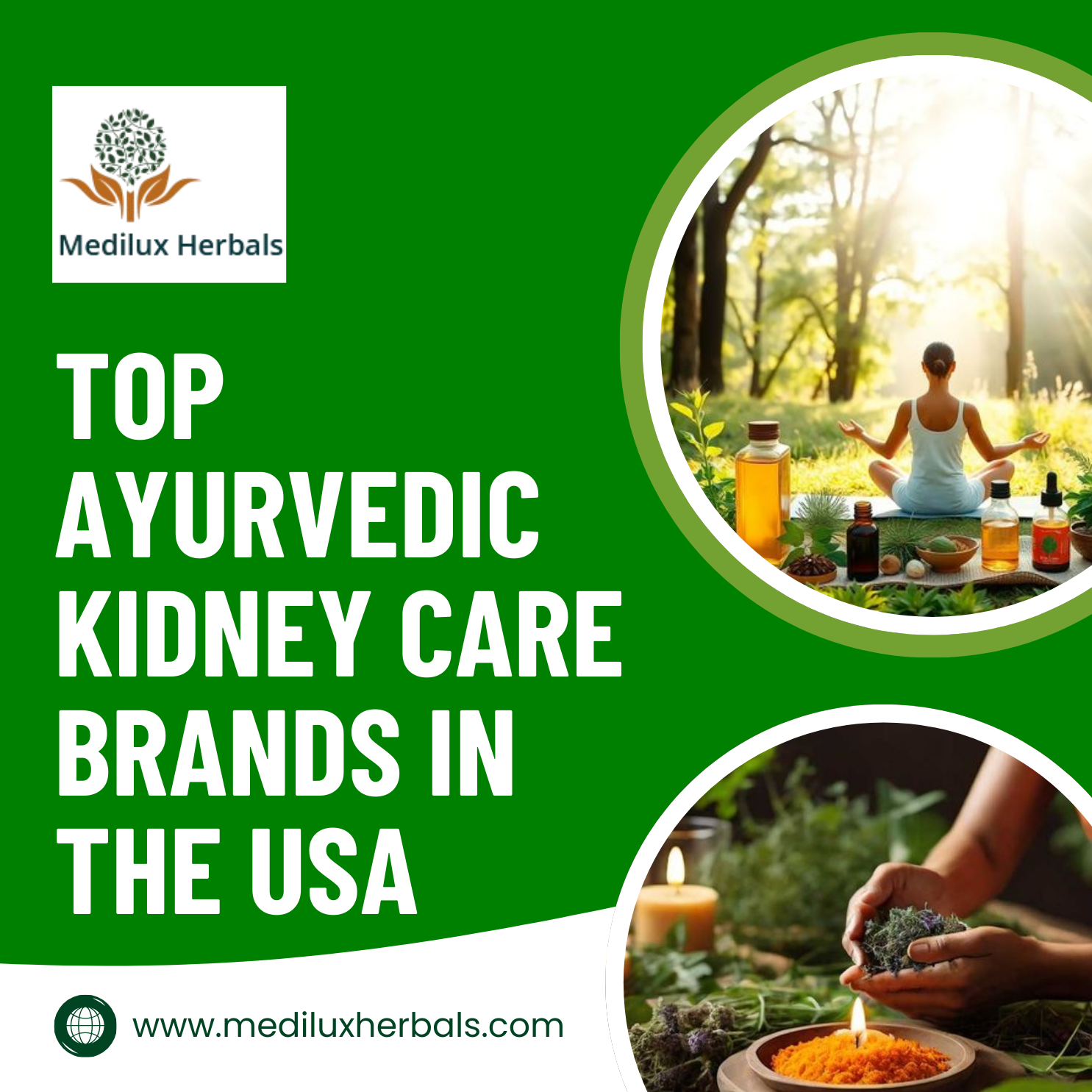  Top Ayurvedic Kidney Care Brands in the USA
