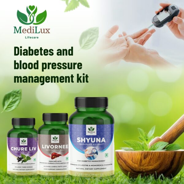 Diabetes and Blood Pressure Management Kit