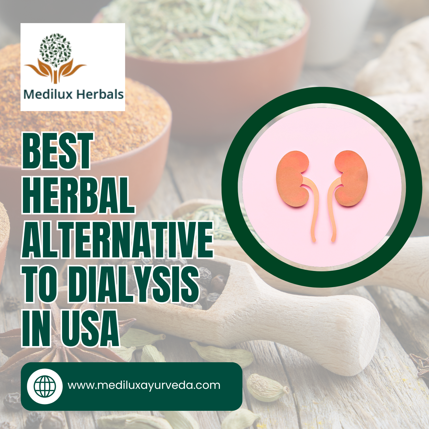 Best Herbal Alternative to Dialysis in USA