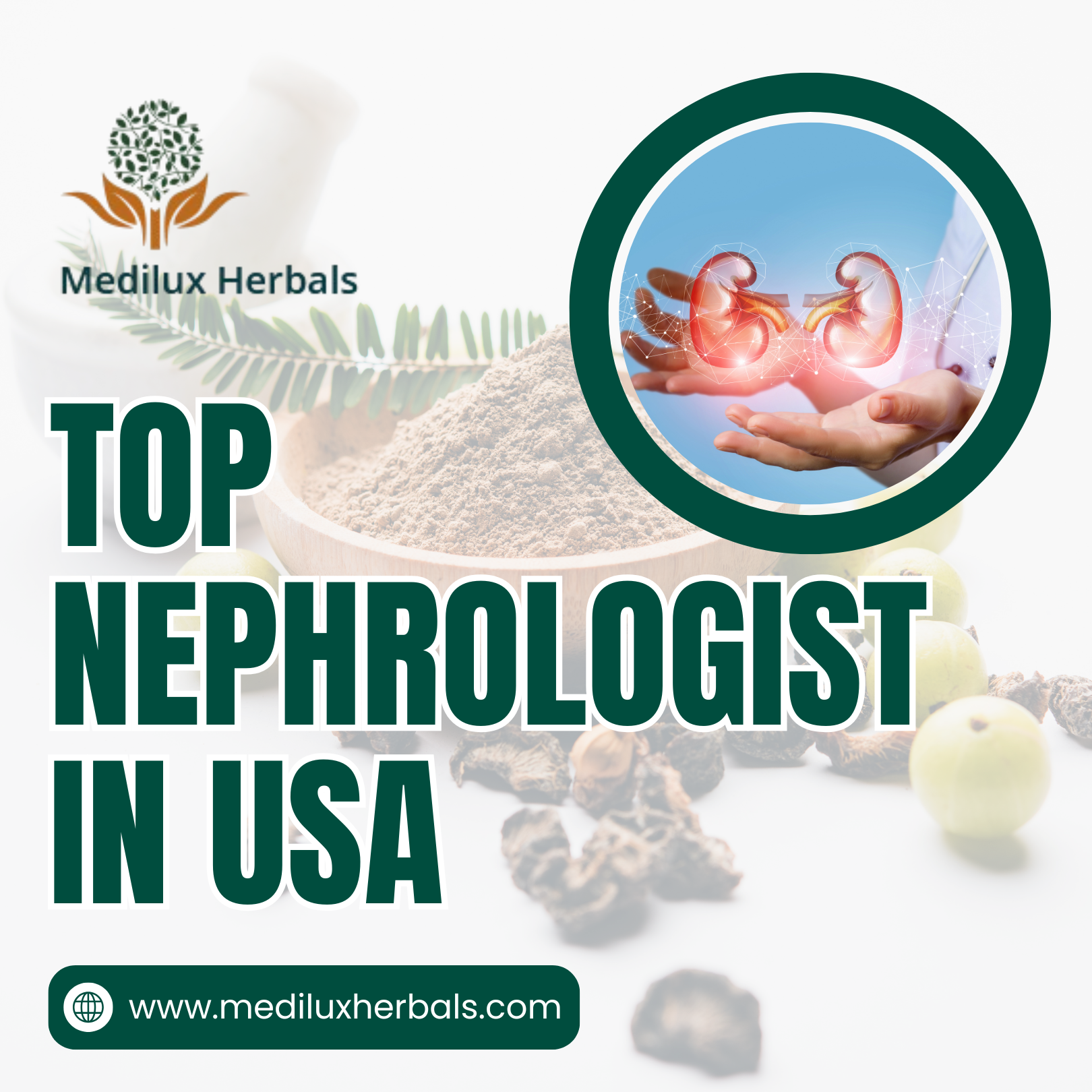 Top Nephrologist in USA